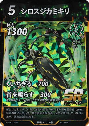 シロスジカミキリ