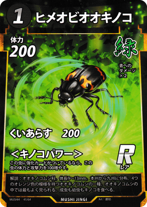 ヒメオビオオキノコ