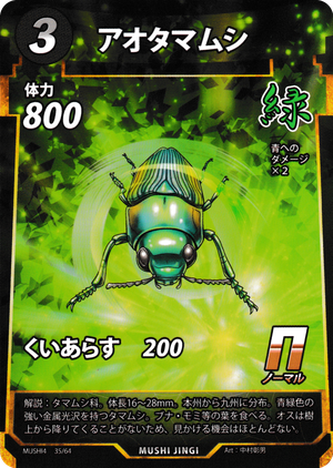 アオタマムシ