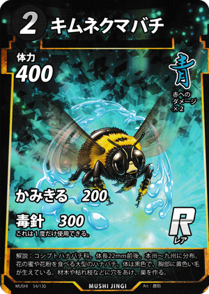 キムネクマバチのカード画像