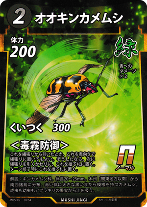 オオキンカメムシ