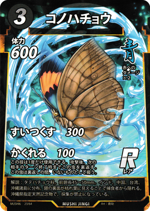 コノハチョウ