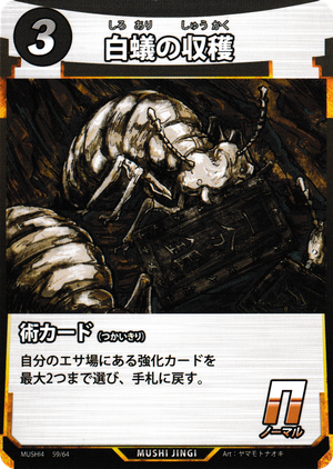 白蟻の収穫