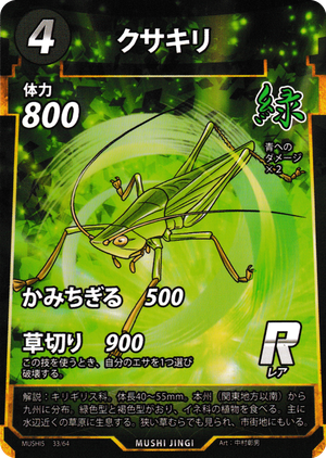 クサキリ