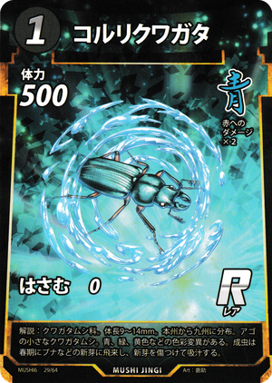 コルリクワガタ
