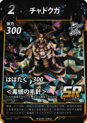チャドクガ